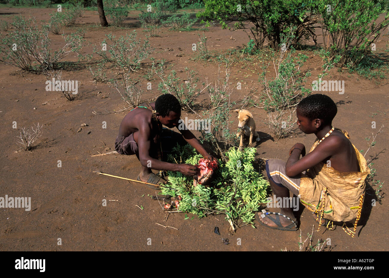 Cazadores Hadza comiendo un mono el lago Eyasi de Tanzania pequeña tribu de cazadores recolectores Foto de stock