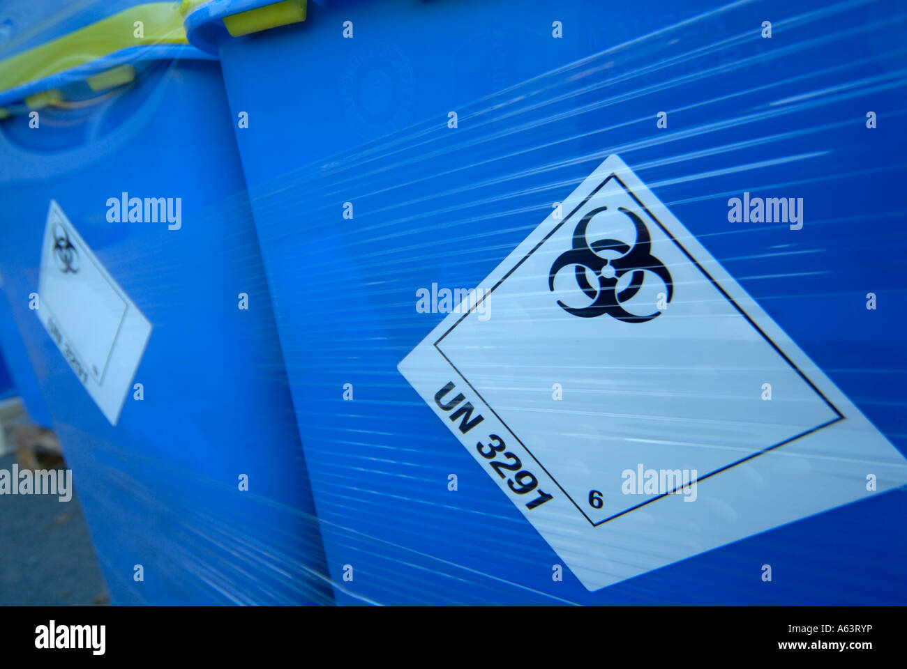 Señal de peligro biológico en los contenedores azules. Foto de stock