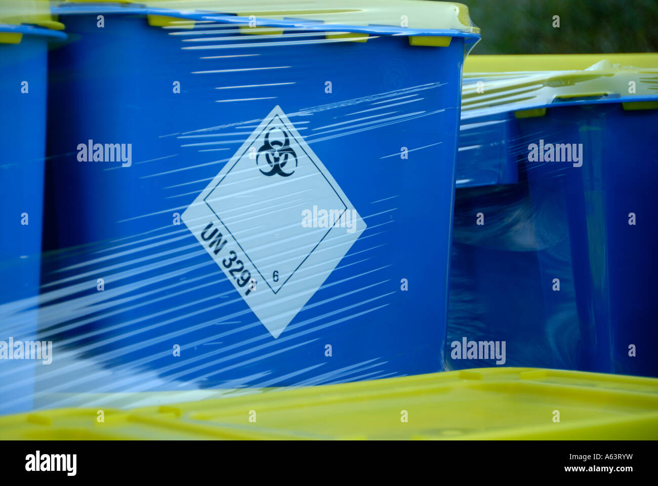 Señal de peligro biológico en el contenedor azul. Foto de stock