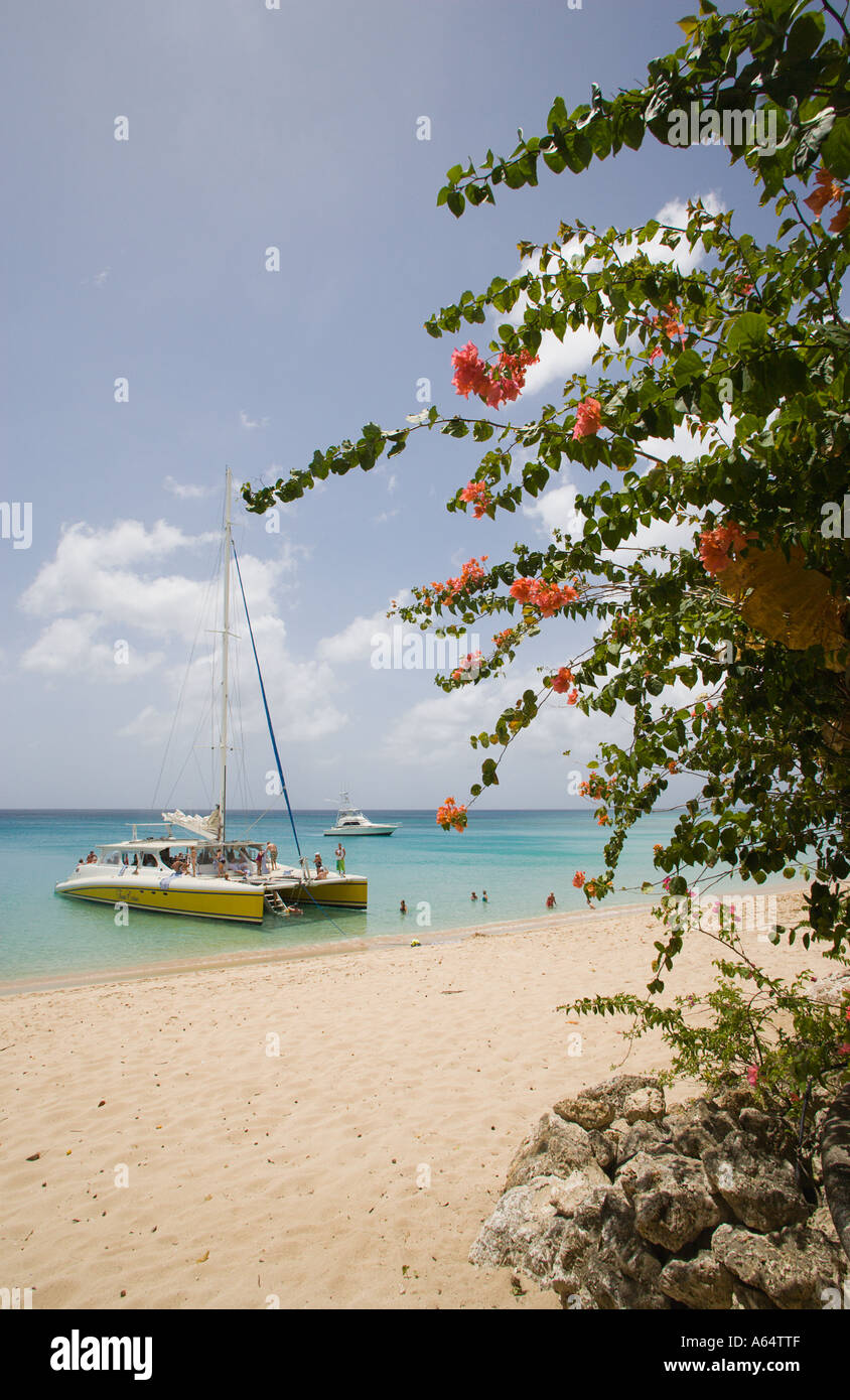 WEST INDIES Caribe Barbados Gibbs Parroquia San Pedro Bay Beach Tour en