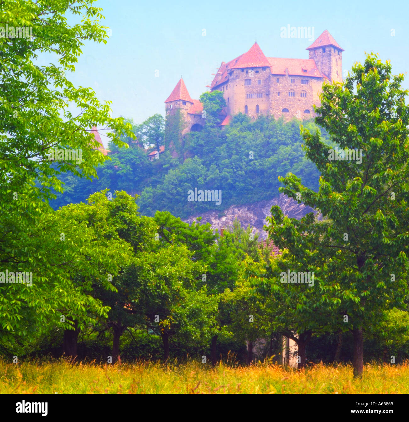 Castillo de Gutenberg Liechtenstein Valle del Rin Foto de stock