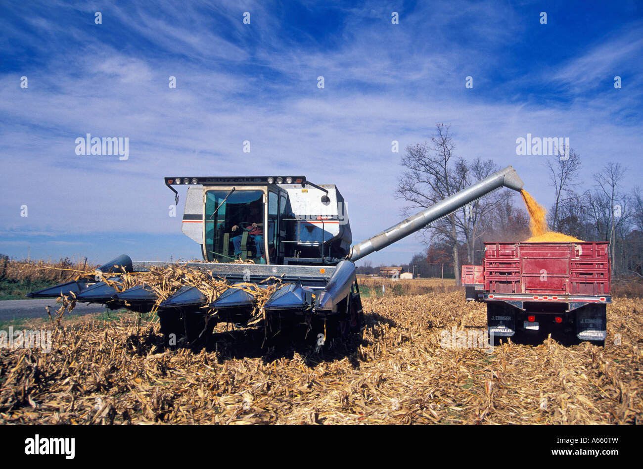 Agricultor usando la cosechadora para cosechar maíz y vierta ese maíz en un camión sur de Indiana Foto de stock