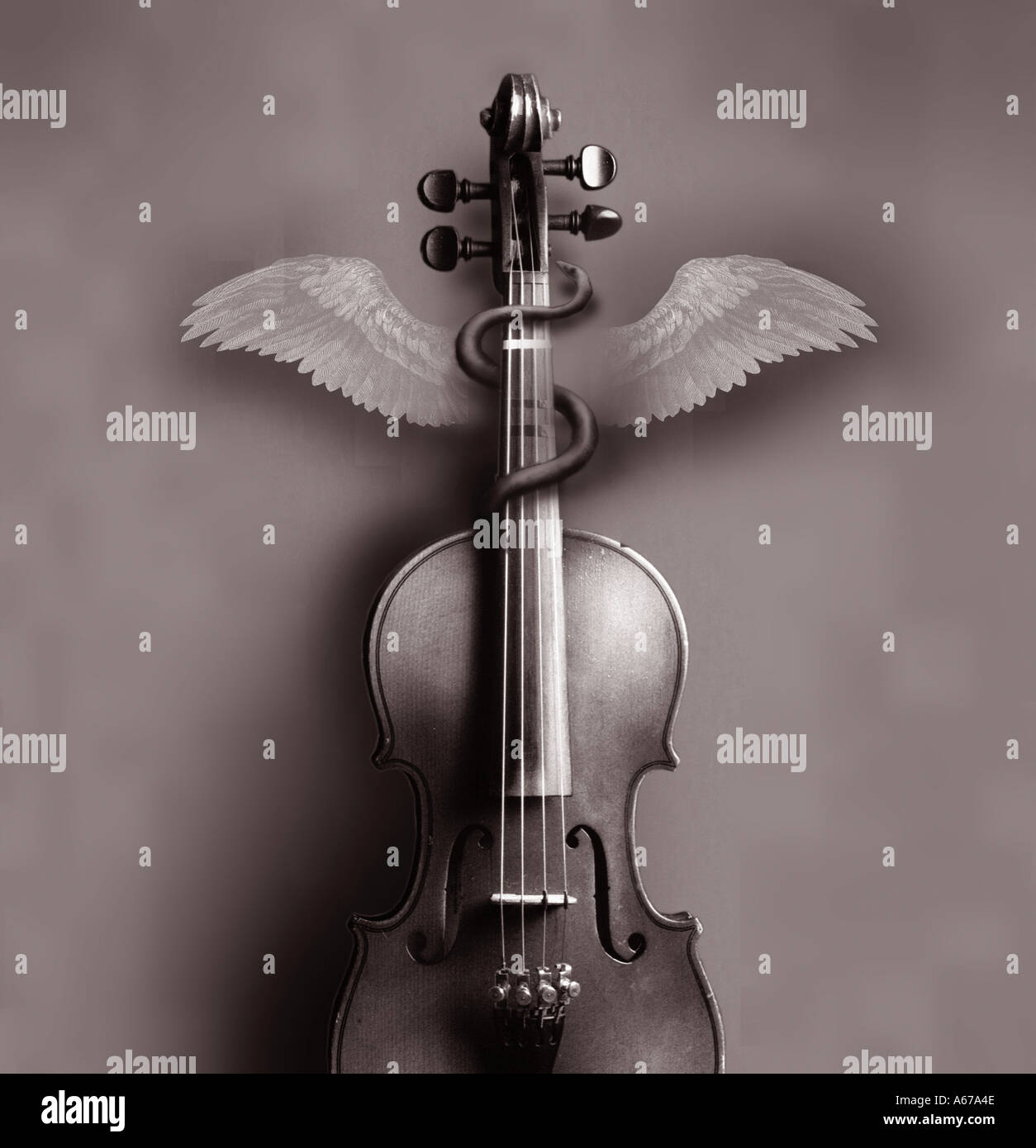 Illustration Music y medicina concepto violín y símbolo médico Foto de stock