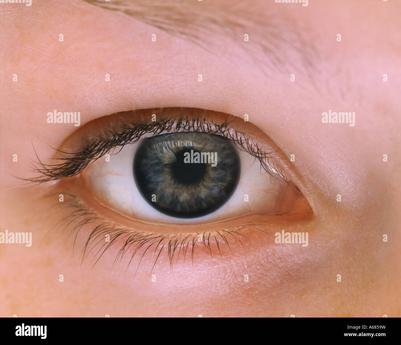 Anillo limbal fotografías e imágenes de alta resolución - Alamy