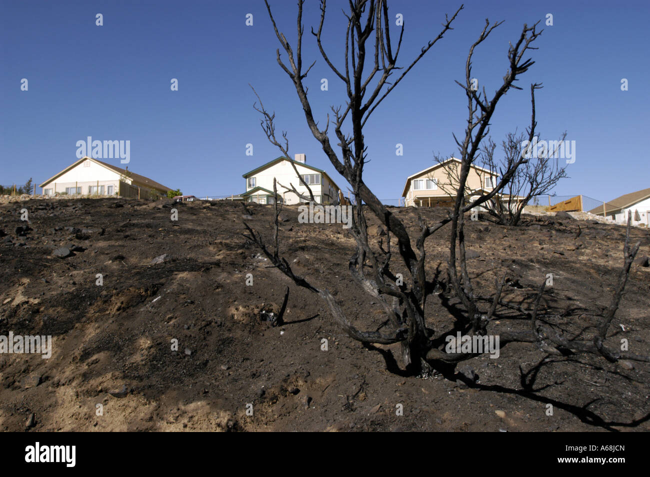 Wildfire burn zona cerca de Reno NV Foto de stock