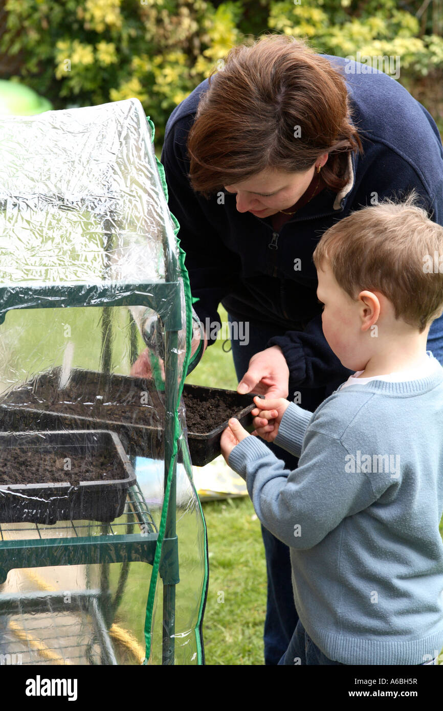 Madre ayudando a su joven hijo Coloque bandejas de semillas plantadas en un pequeño invernadero de plástico para la germinación en primavera Foto de stock