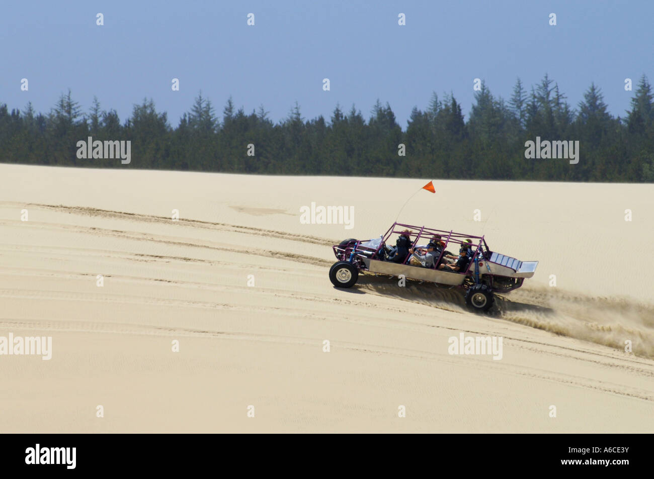 Dune buggy ride con Sandland aventuras en Oregon Dunes National