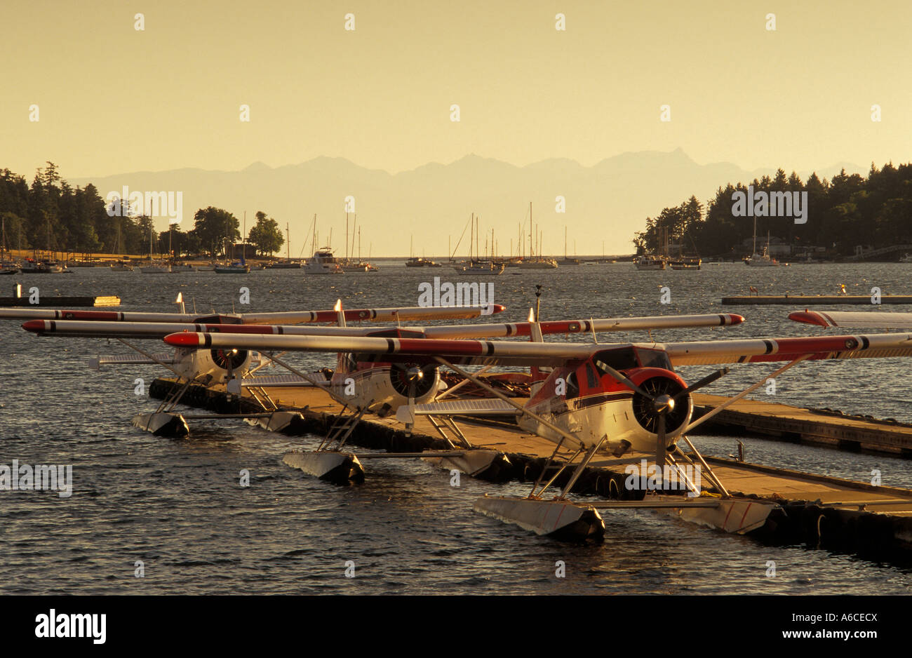 Floatplanes en puerto de Nanaimo en la isla de Vancouver, British Columbia, Canadá Foto de stock