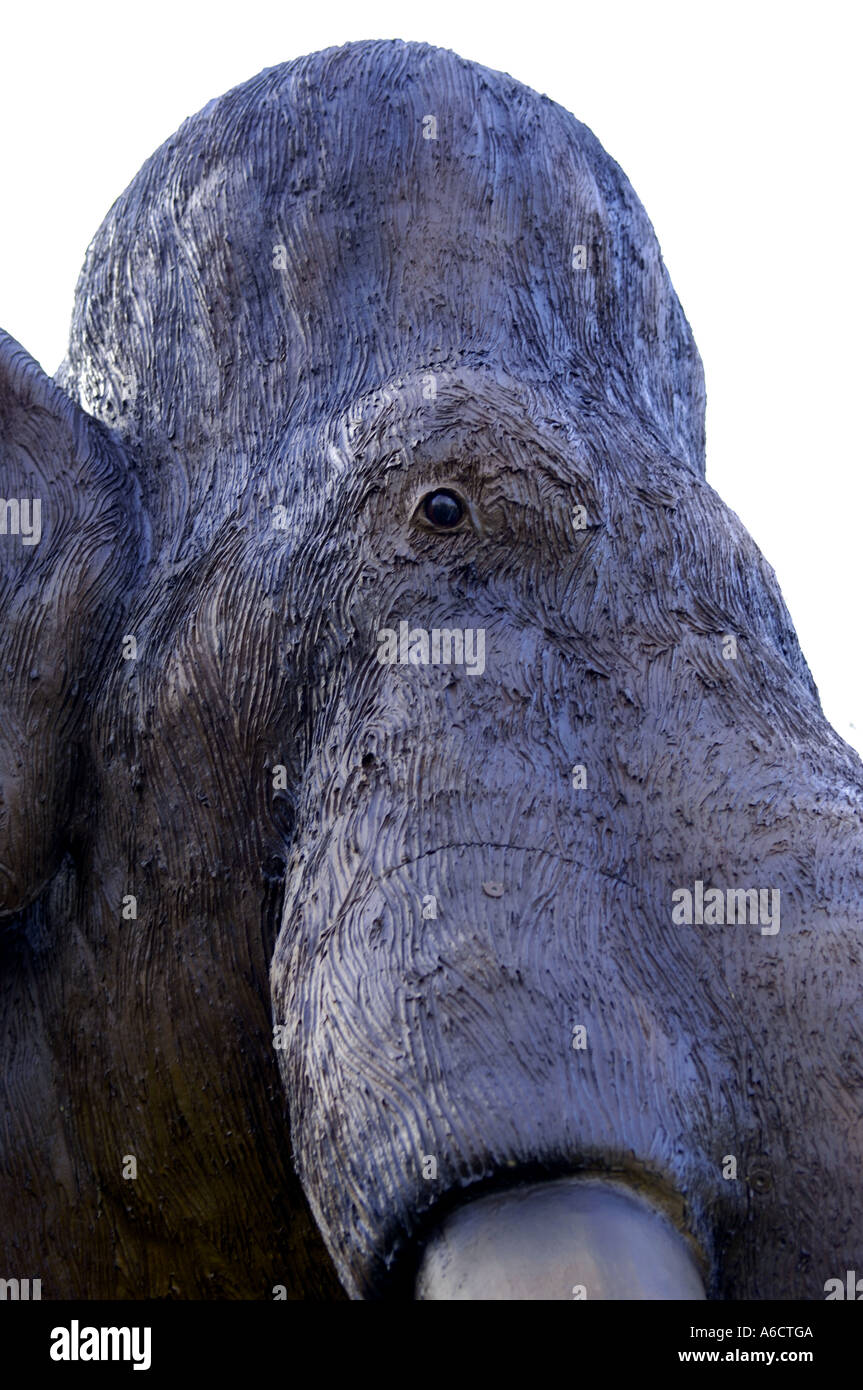 Criatura prehistórica naturaleza animal elefante mamut marrón Fotografía de  stock - Alamy