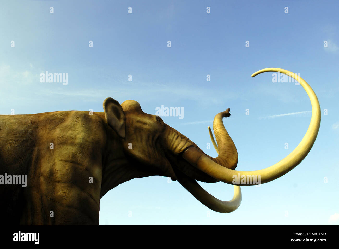 pop prova adapte olabilirlik mamut bunde - michminiaturestructures.com