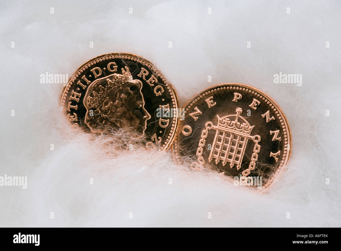 Dos monedas de cobre centavo en estrecha arriba envuelto en algodón para protección. Proteger el dinero y el concepto de austeridad. UK Foto de stock