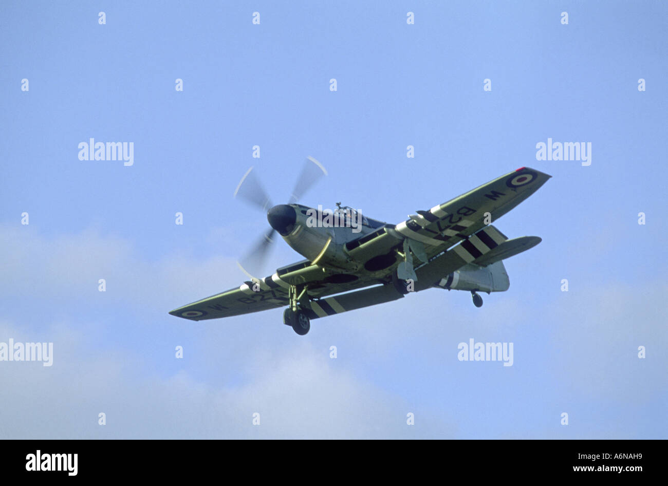 Fairey Firefly como5, aviones monoplano cantilever de ala baja. Registro WB271. La GAV 2289-238 Foto de stock