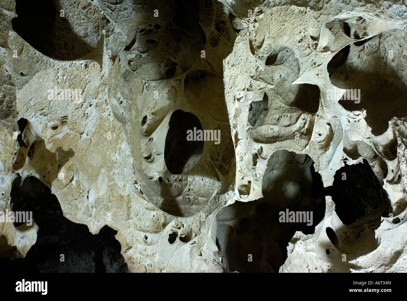 Algas fosilizadas en una cueva, Uyuni Altiplano, Bolivia Foto de stock