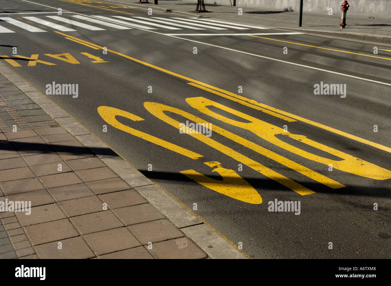 Autobús y taxi amarillo marcado en la calle Foto de stock