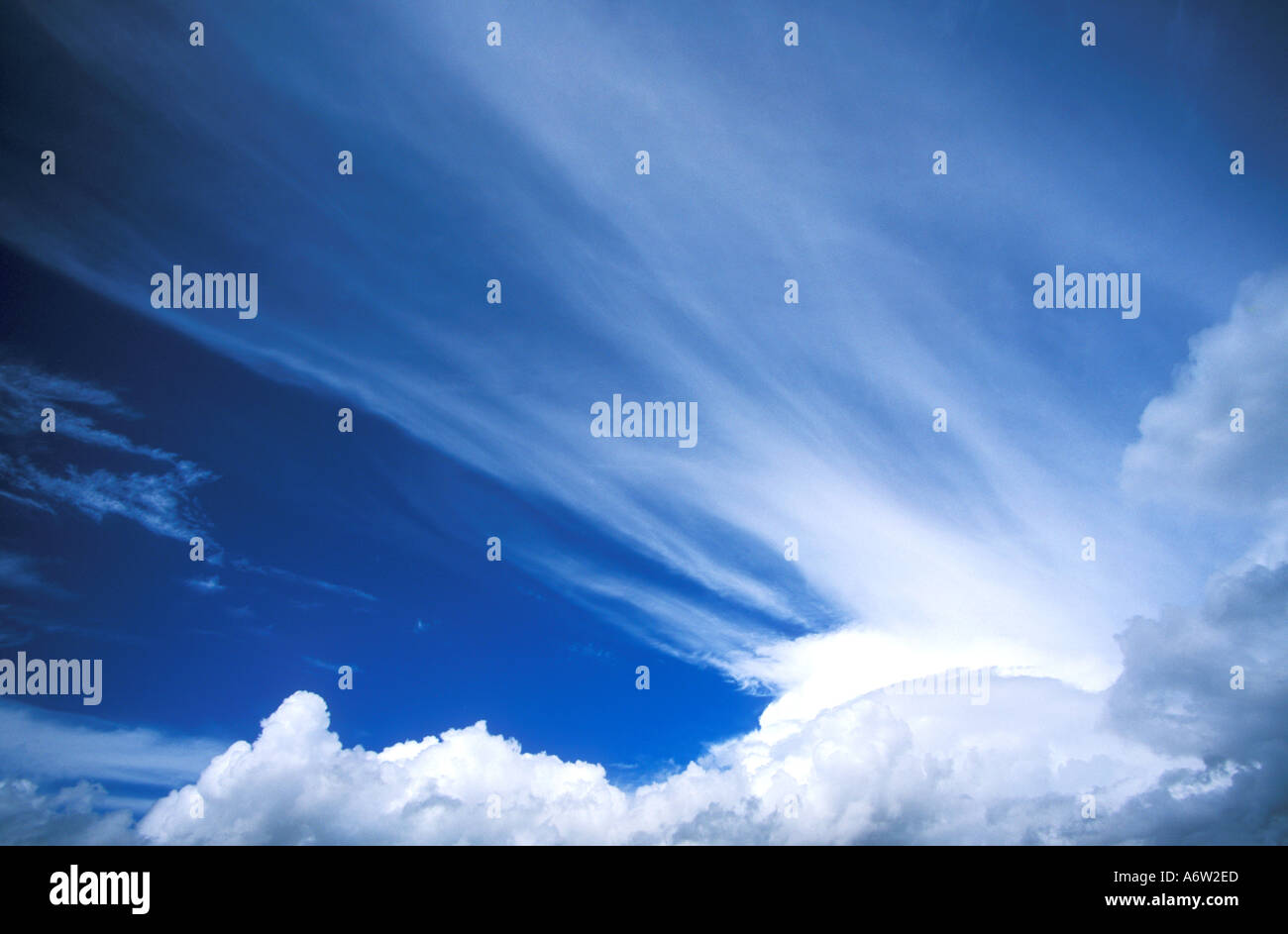 Cielo azul las nubes blancas atmósfera cielos altitud blanco altocúmulos altoestratos cirrocúmulos cirrostratus cirrus clima verano Foto de stock