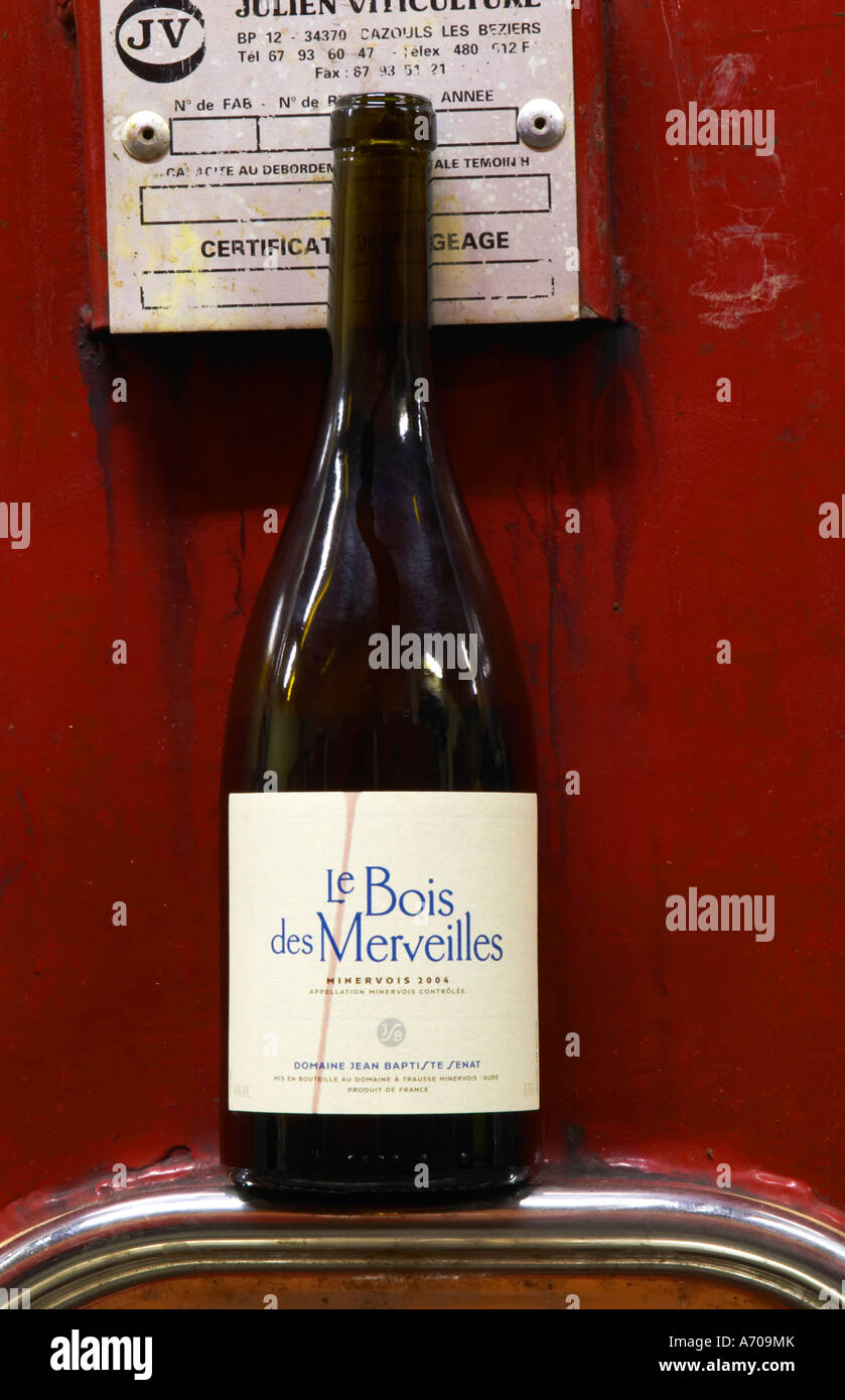 Le Bois des Merveilles. El bosque de las maravillas. Domaine Jean