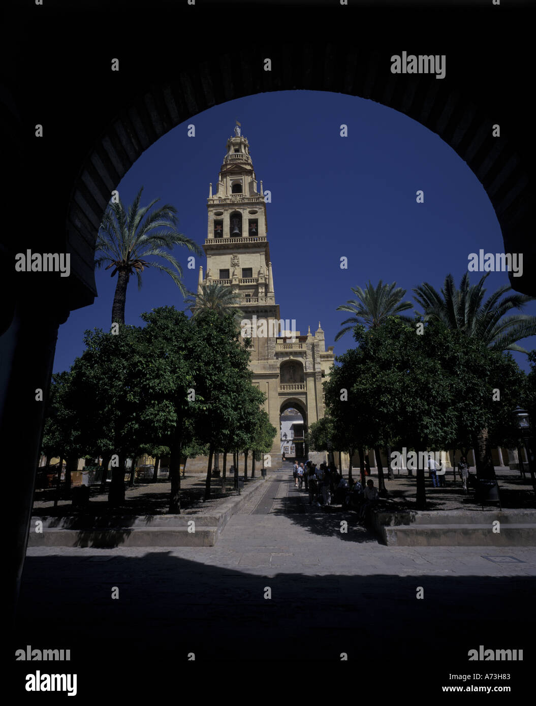 Europa, España, Andalucía. Córdoba. Catedral de mezquite, torre (medio formato) Foto de stock