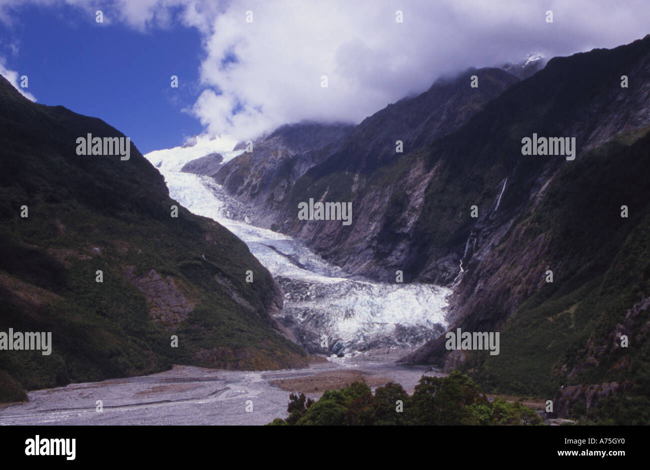 Glaciar Franz Josef Westland National Park, Isla del Sur, Nueva Zelanda Foto de stock