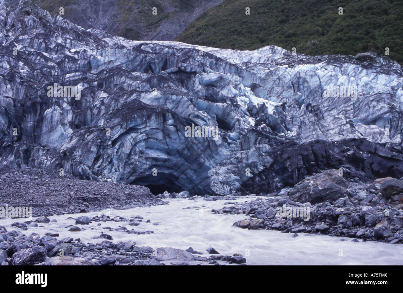 Fox Glacier cara Terminal Westland National Park, Isla del Sur, Nueva Zelanda Foto de stock