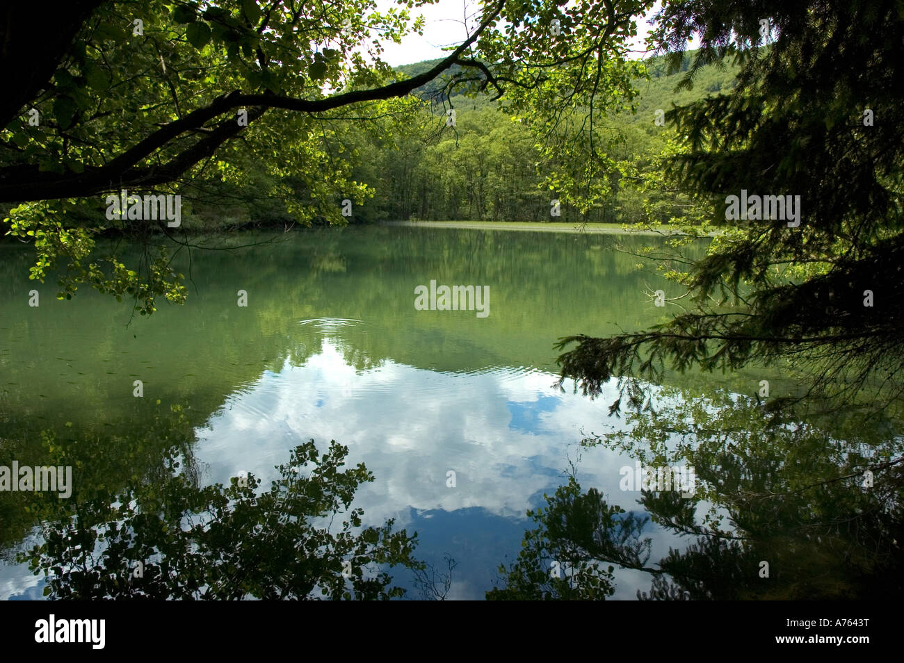 Lago en el valle Szalajka Hungría Foto de stock