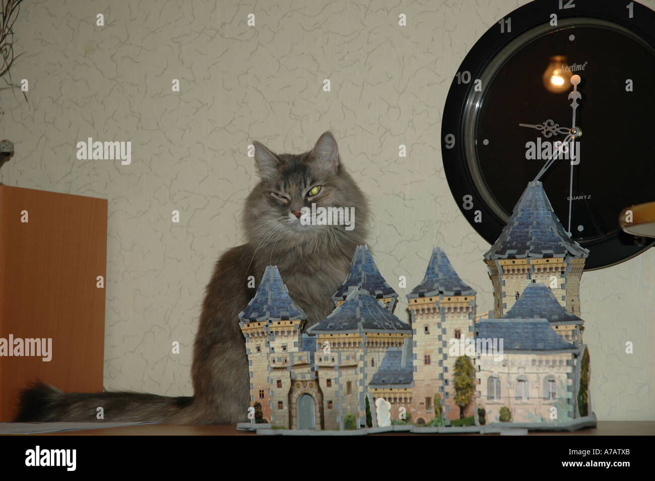 Castillo de juguete fotografías e imágenes de alta resolución - Alamy