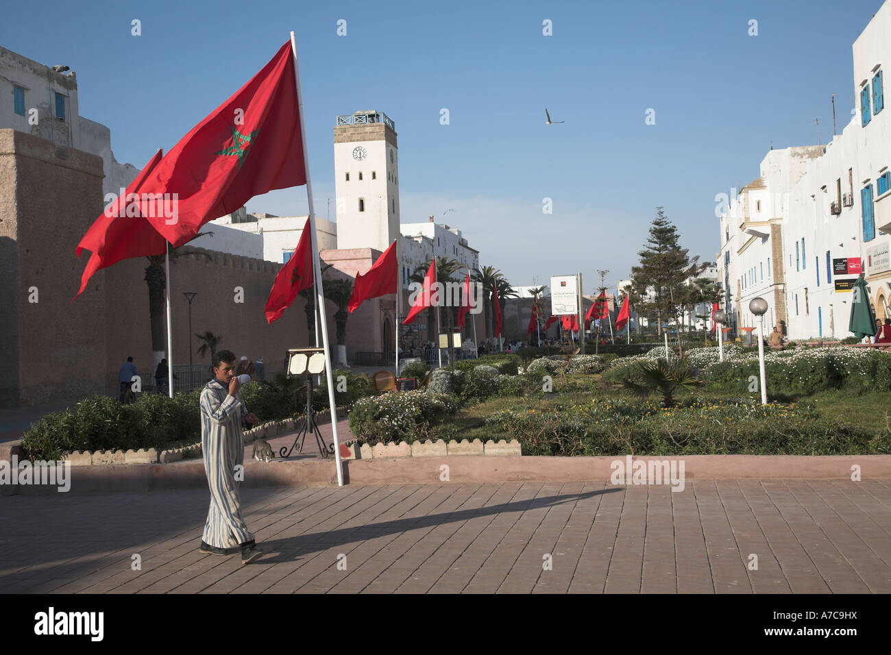 Rojas grandes banderas marroquíes y murallas de la ciudad, Essaouira, Marruecos Foto de stock