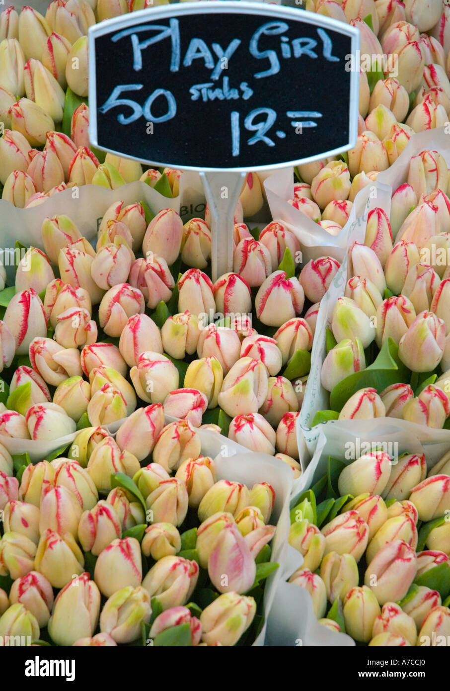 Flores en el mercado de flores Singel, en el centro de Amsterdam Foto de stock