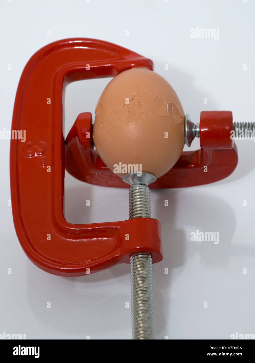 Agrietamiento del huevo en las abrazaderas ajustables Foto de stock
