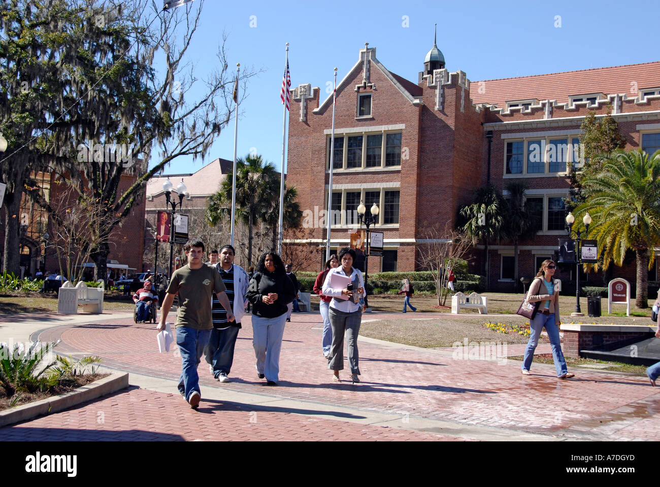 Actividades estudiantiles del Campus de la Universidad Estatal de Florida en Tallahassee FL Florida Seminolas Foto de stock