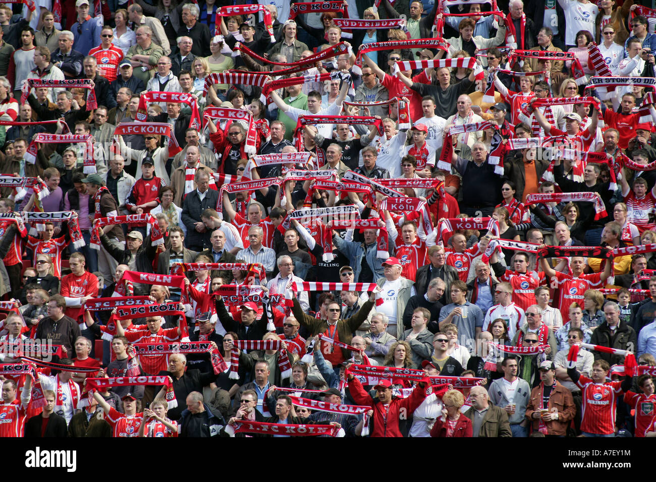 Los fans de la segunda liga alemana de fútbol club 1, FC koeln en el Rheinenergiestadion. Colonia, Northrhine-Westfalia, Alemania Foto de stock