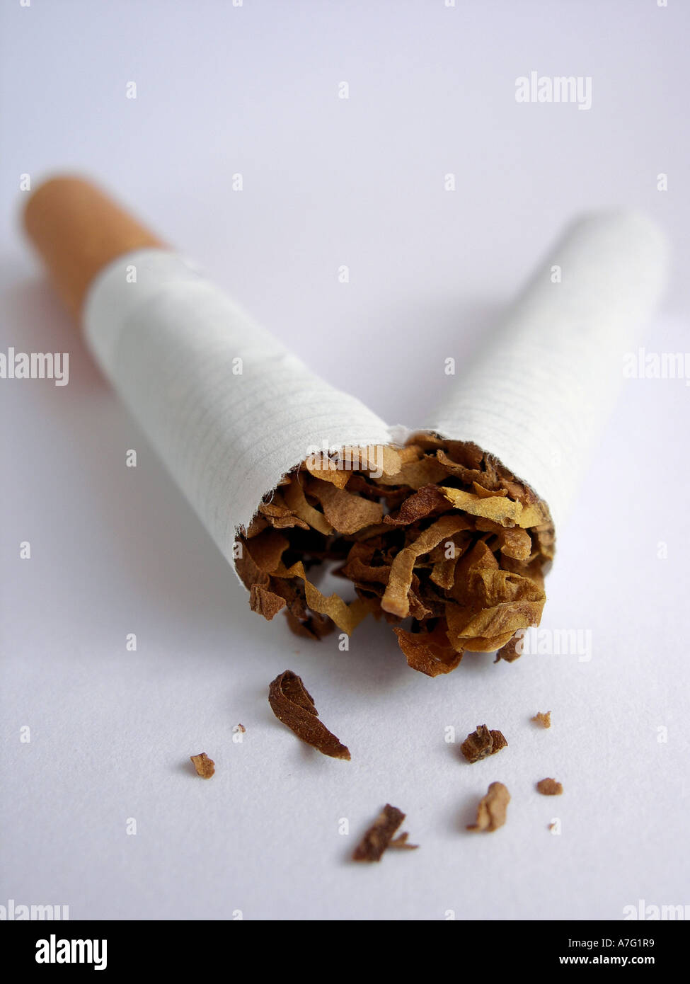 Puntas De Papel De Liar Punta De Filtro De Cigarrillo De Tabaco