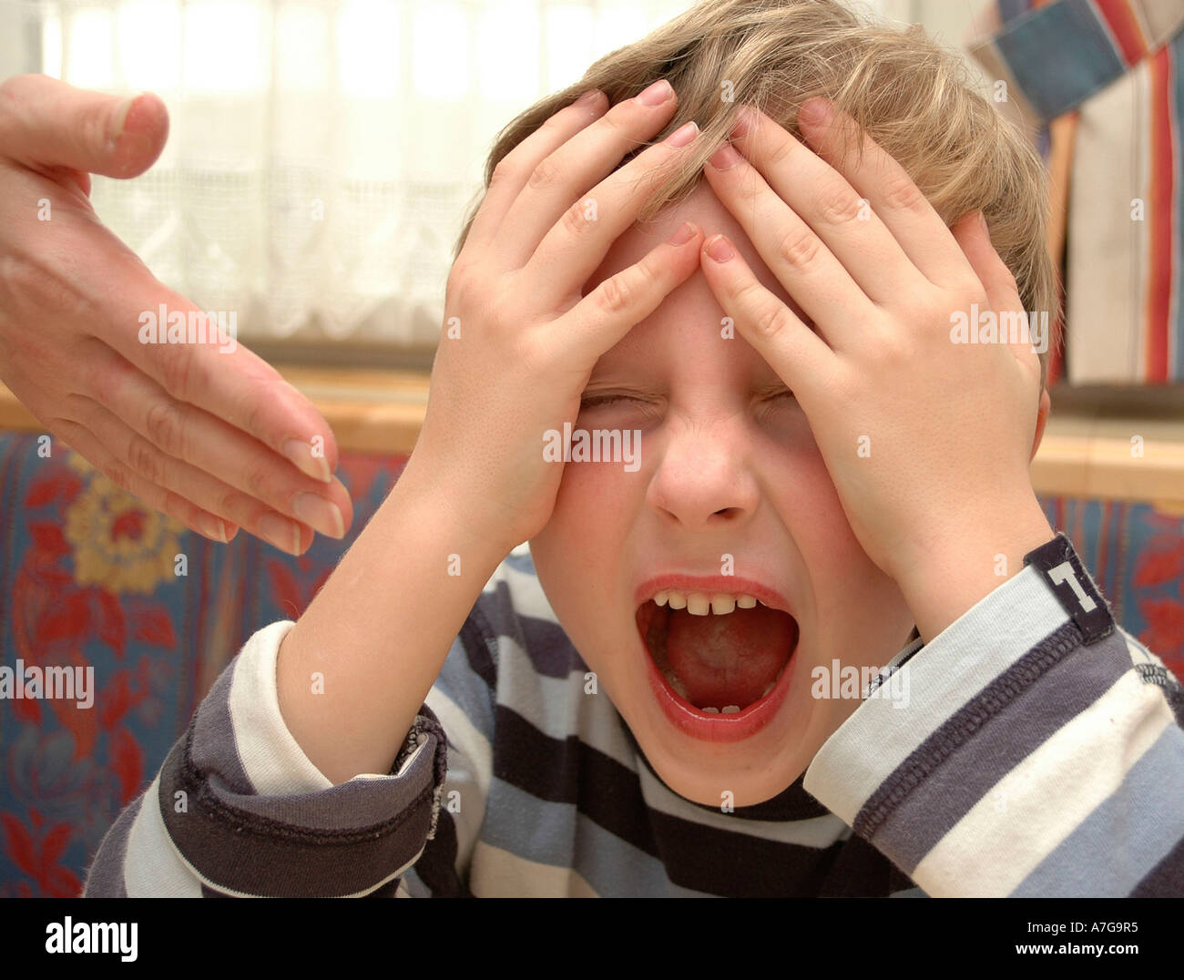 La gente, el muchacho, llorando, llorando, beat, golpes, palizas, educación Foto de stock