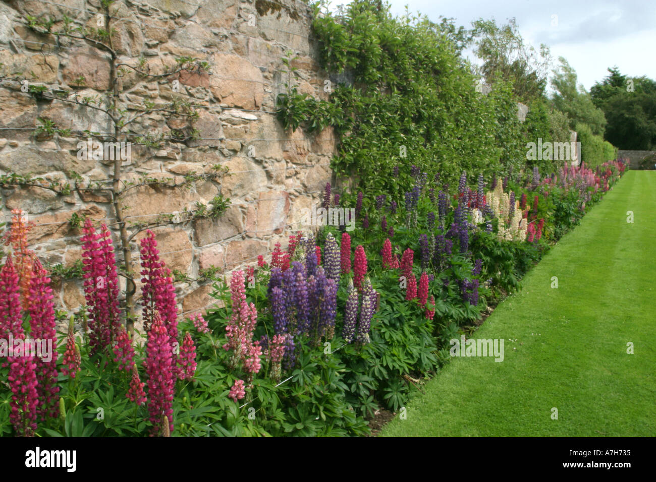Bordes florales en Pitmedden Jardines Foto de stock