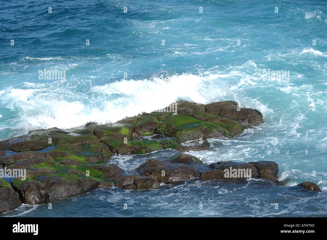 Las rocas volcánicas en cubierta verde océano Altlantic Foto de stock