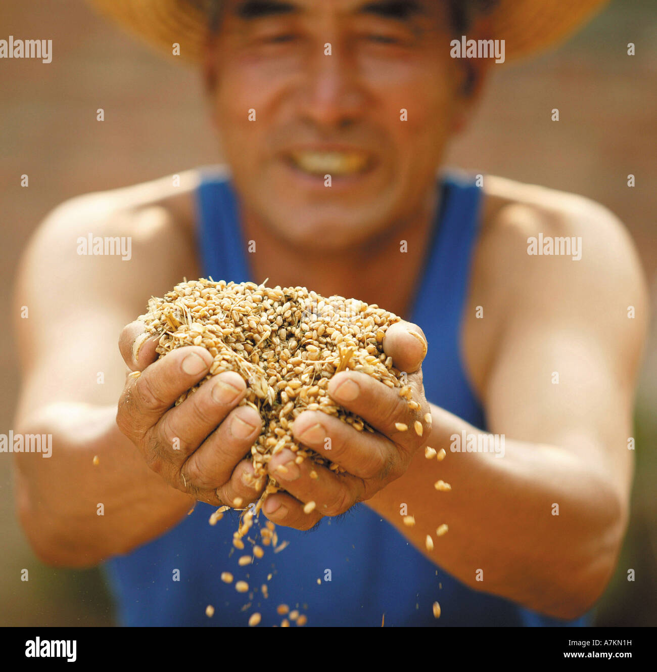 Un campesino chino sosteniendo un puñado de cultivos Foto de stock