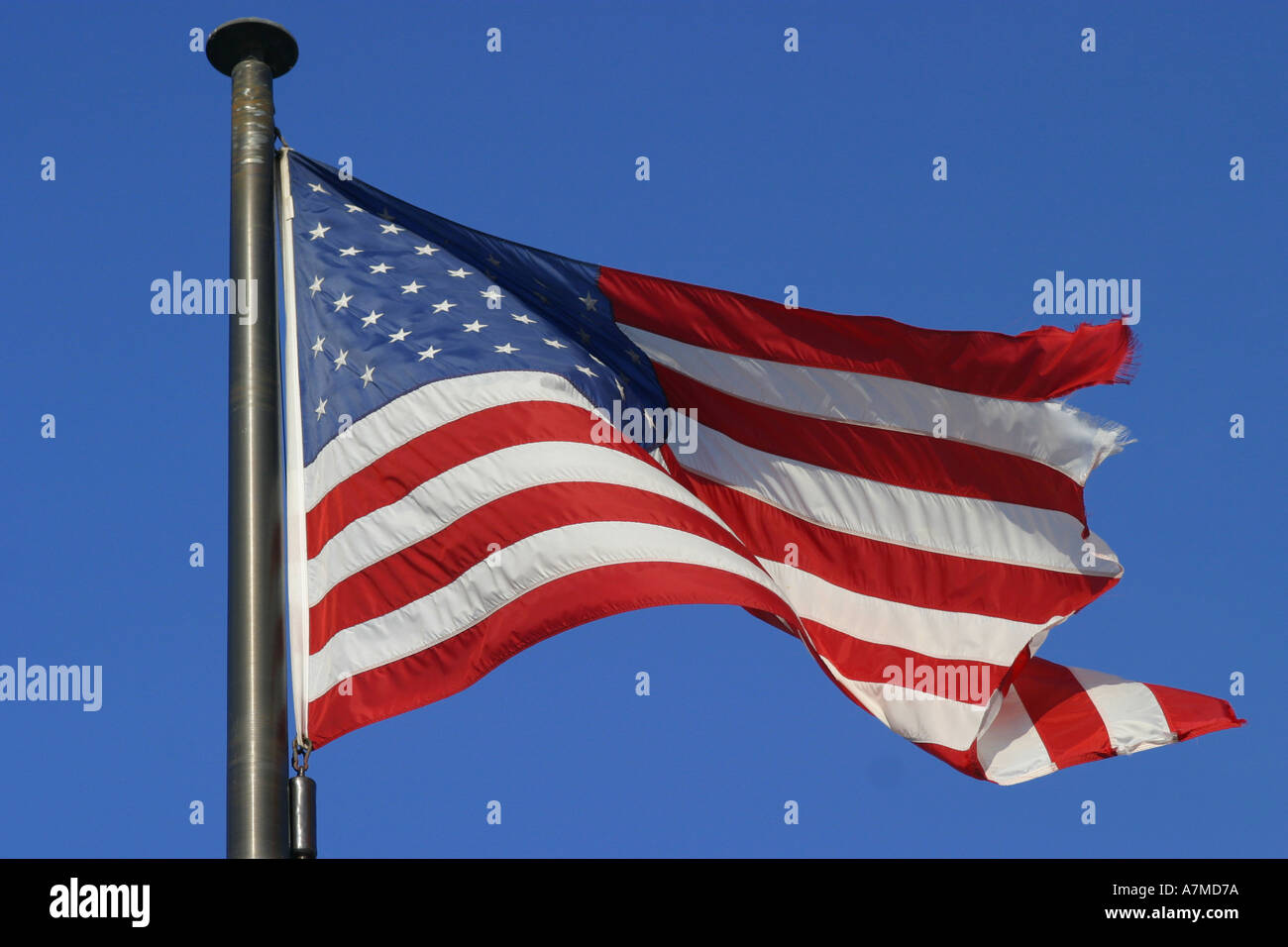 Estados Unidos de América bandera europea de las barras y estrellas Foto de stock