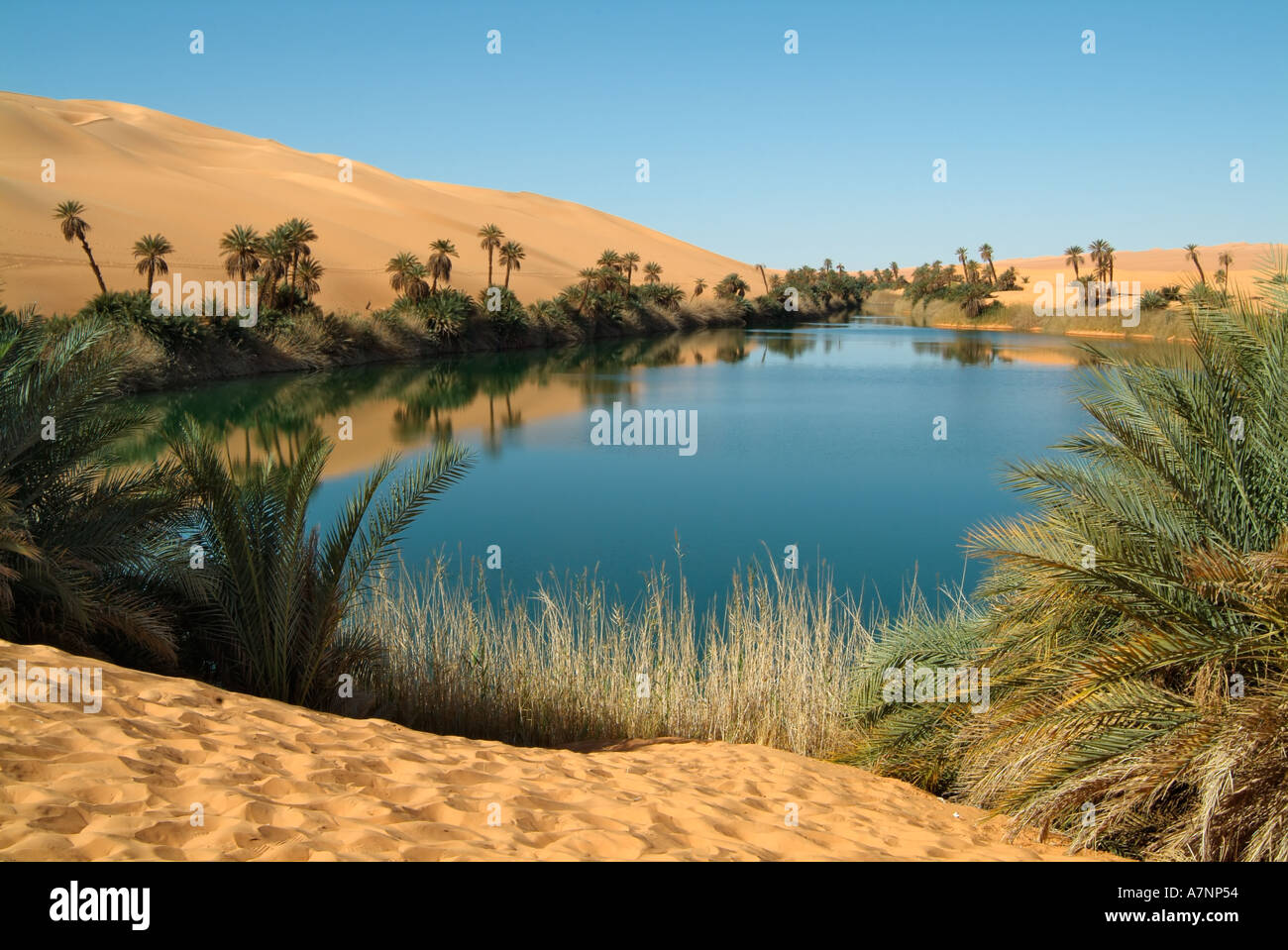 Umm al-Maa Ubari Lake (lago), oasis en el Idehan Ubari mar de arena, el desierto del Sahara, Libia Foto de stock
