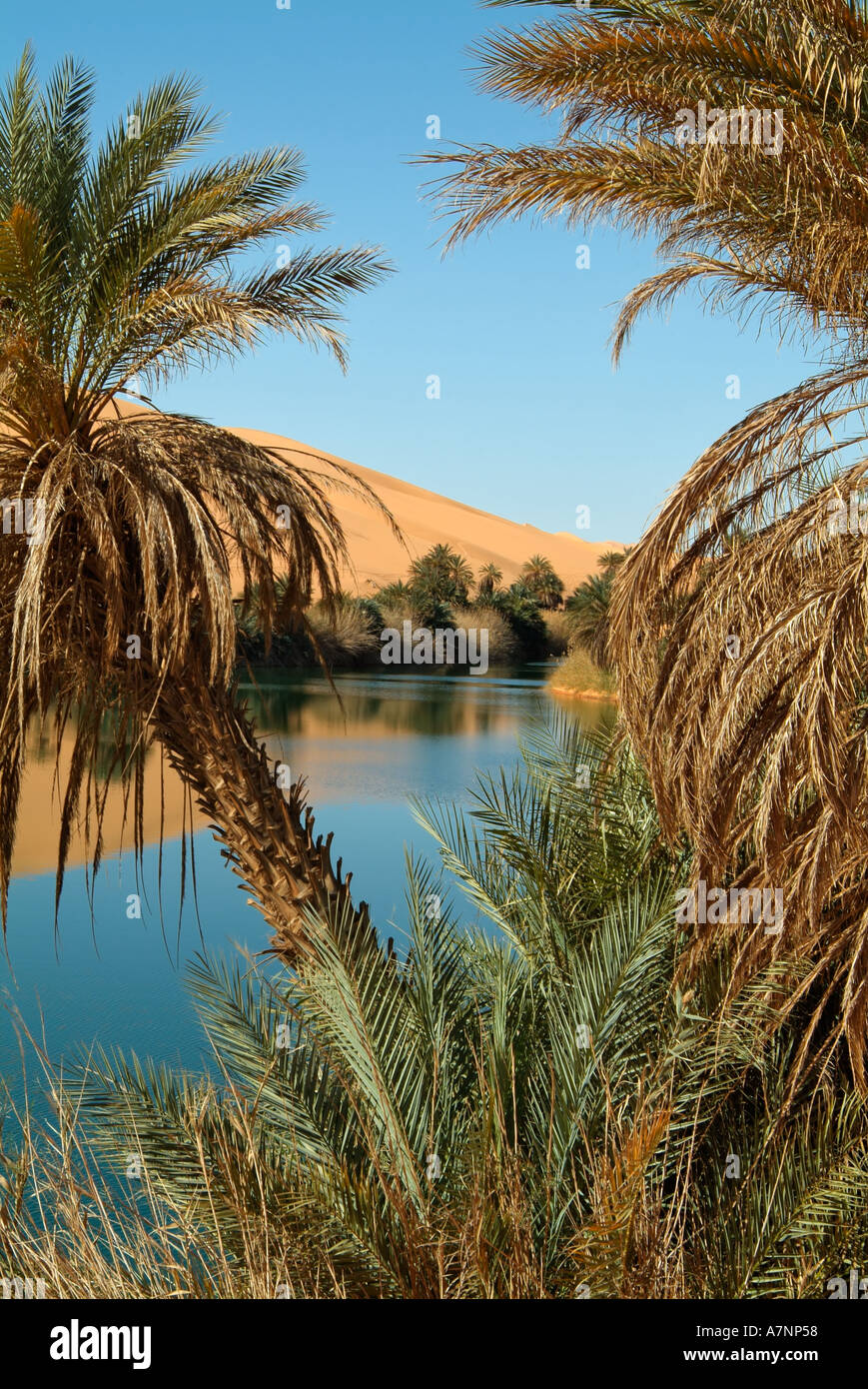 Umm al-Maa Ubari Lake (lago), oasis en el Idehan Ubari mar de arena, el desierto del Sahara, Libia Foto de stock