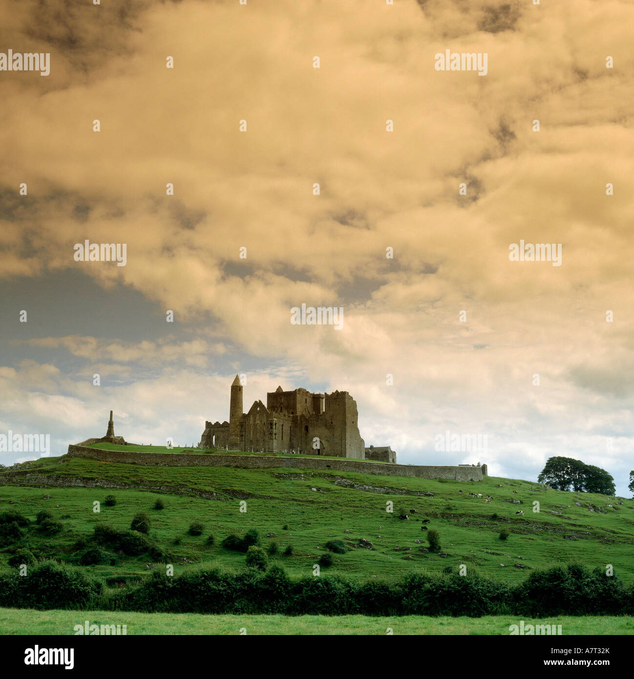 Ángulo de visión baja de palacio en la colina bajo el cielo nublado, Rock of Cashel, República de Irlanda Foto de stock