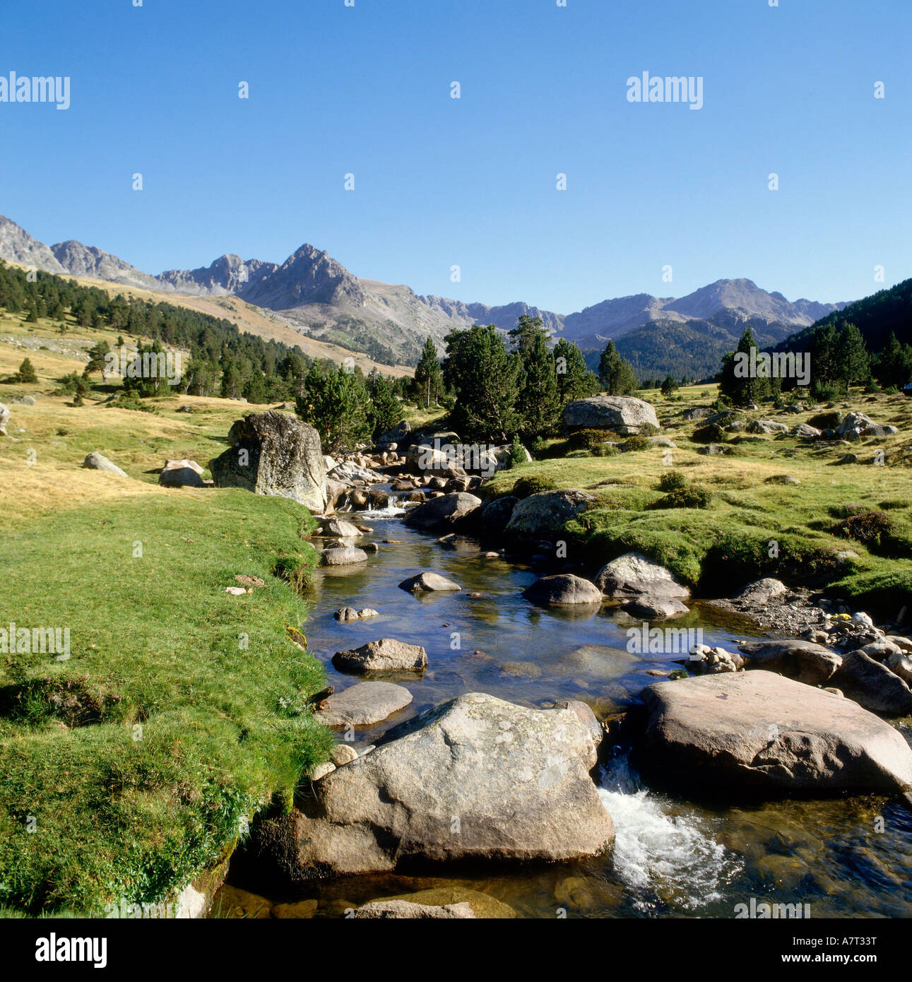 Arroyo que fluye a través del bosque, Andorra Foto de stock