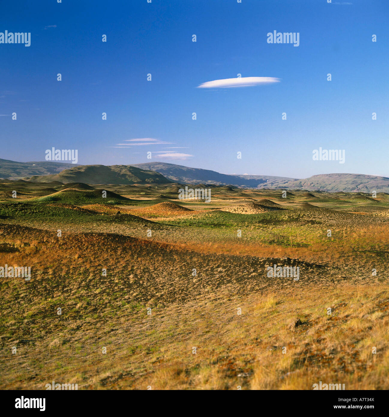 Vista panorámica del paisaje árido, Islandia Foto de stock