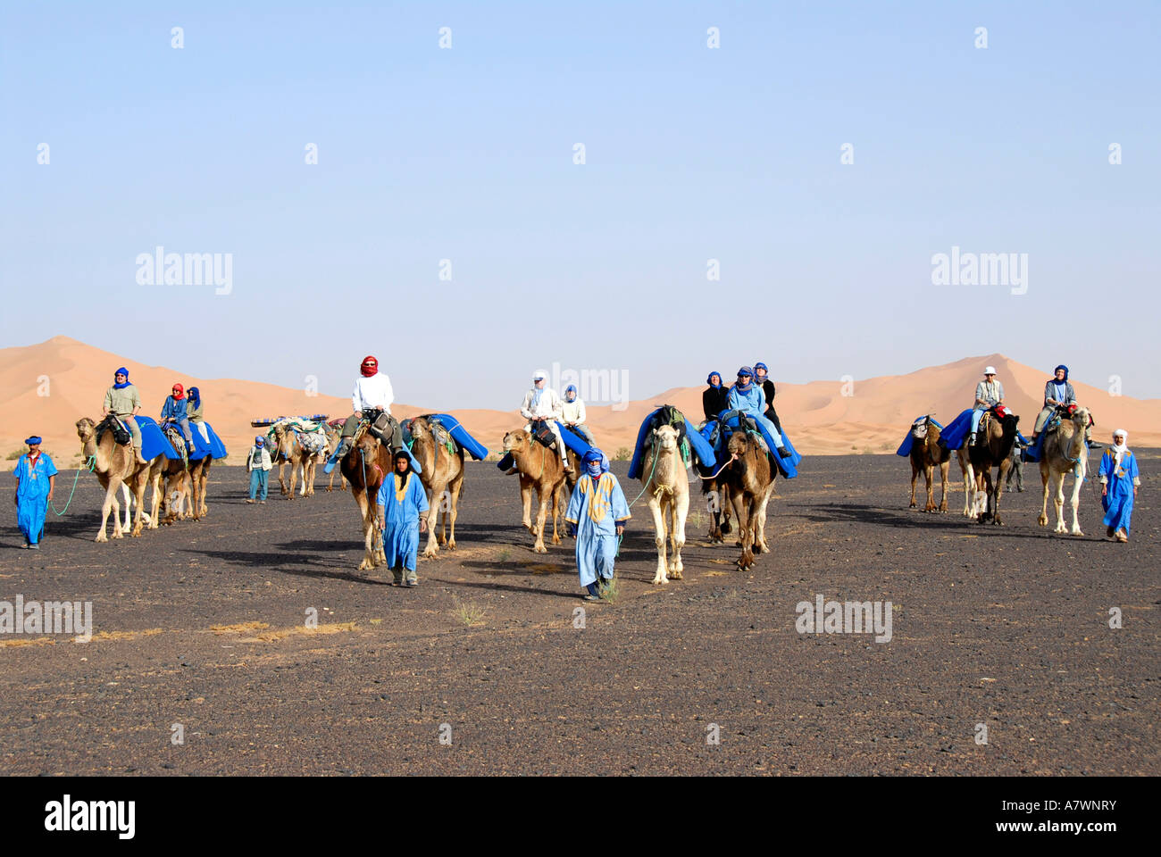 Grupo de turistas, paseos en camellos por el desierto rocoso plano reg sanddunes serir con antecedentes en el Erg Chebbi Merzouga Moro Foto de stock