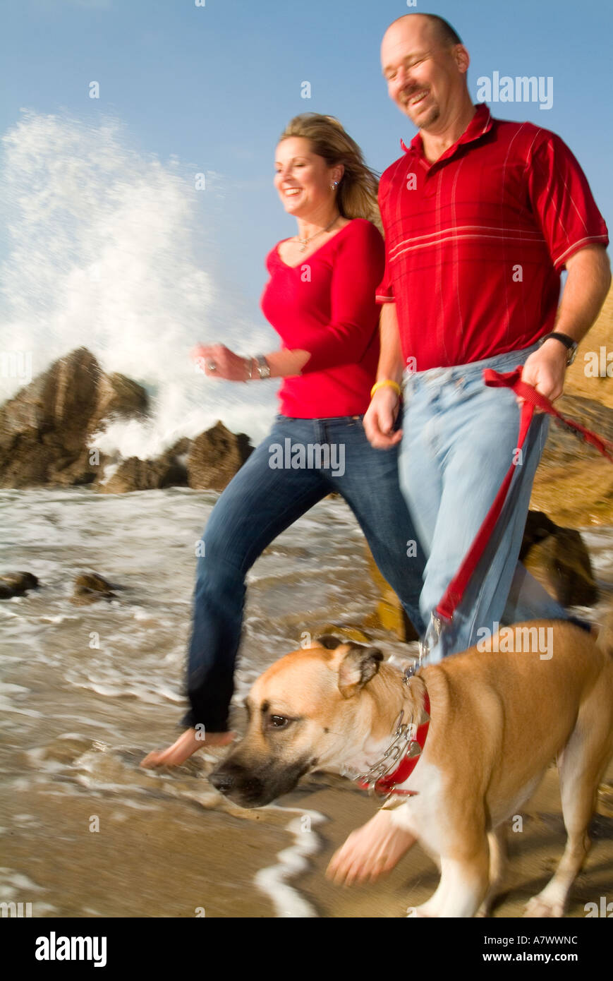 Hombre y mujer corriendo con el perro. Foto de stock