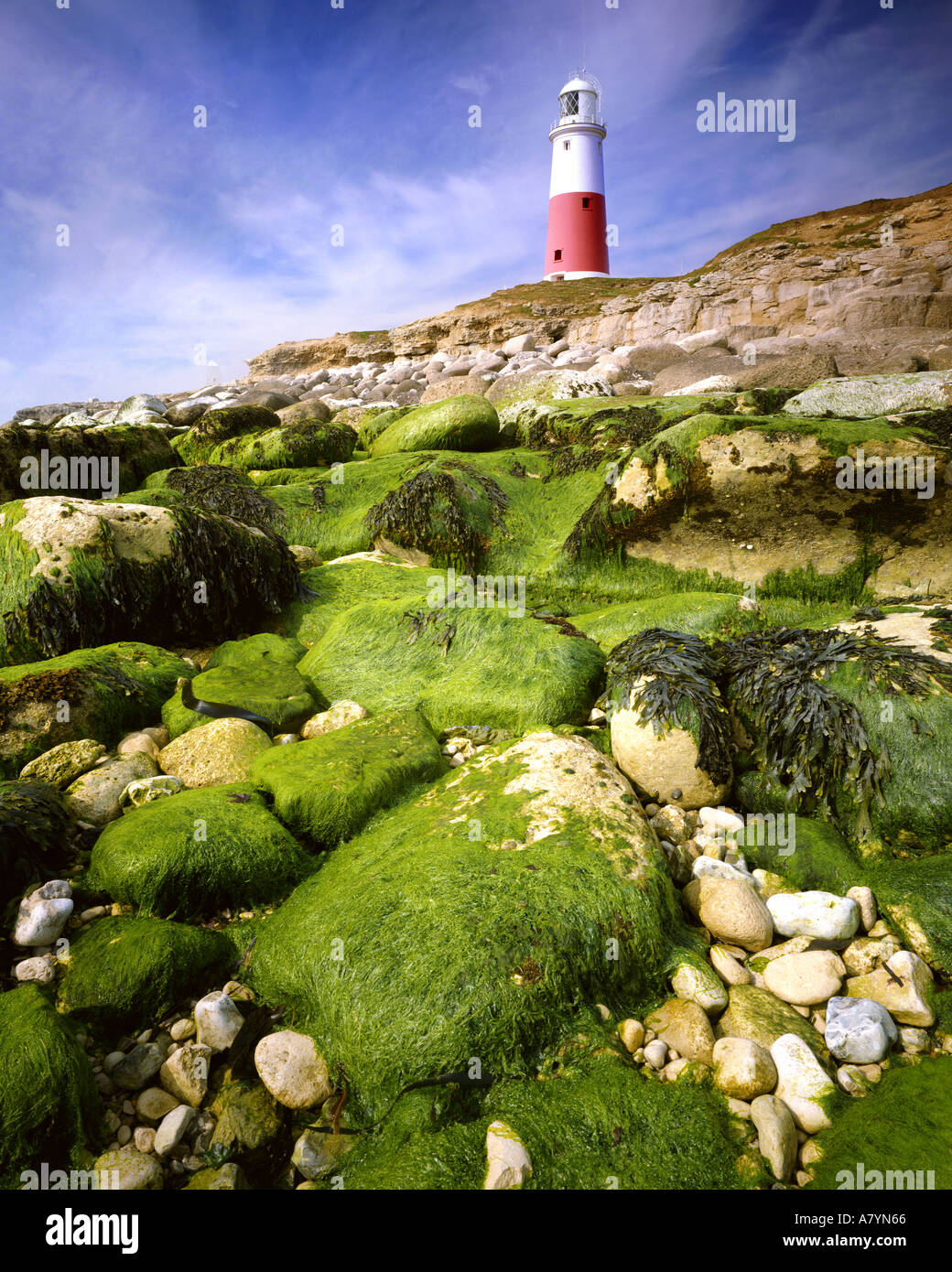 GB - Dorset: Portland Bill Faro Foto de stock