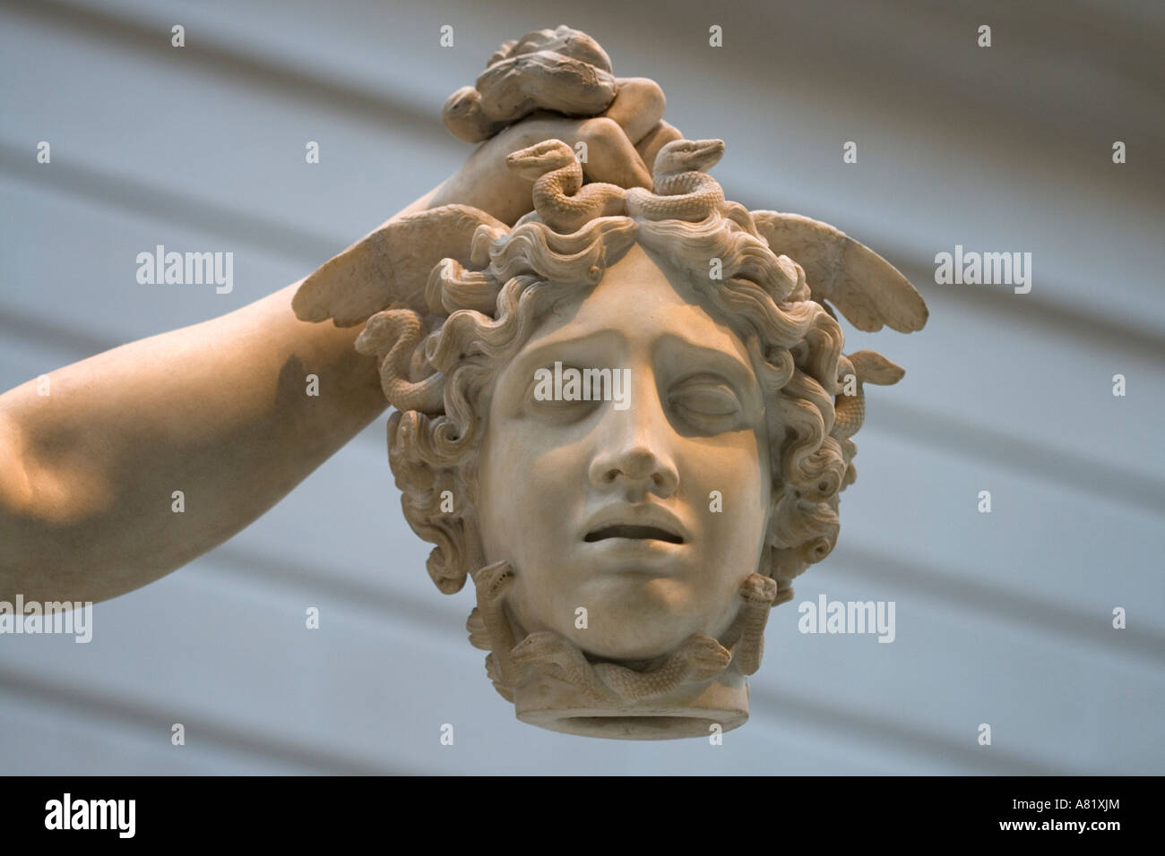 Medusa es cabeza fotografías e imágenes de alta resolución Alamy
