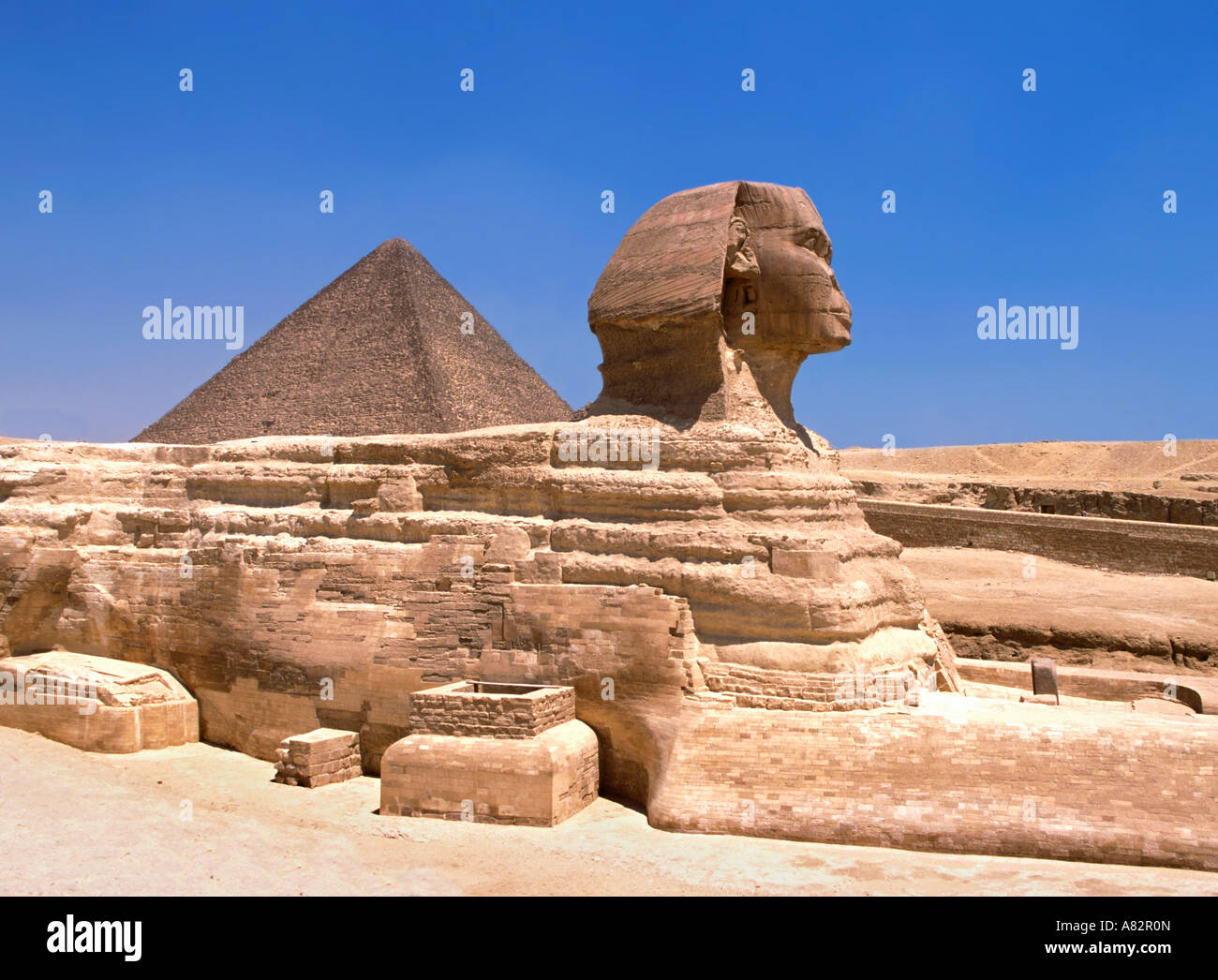 Vista del lado oeste de la Esfinge de Egipto Foto de stock