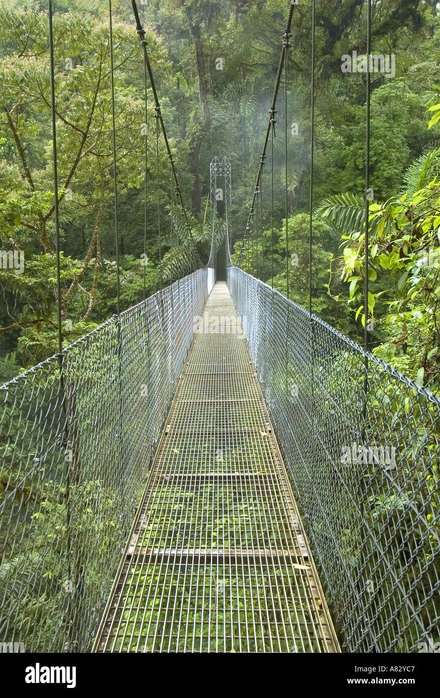 Puentes Colgantes el Arenal, Costa Rica Fotografía de - Alamy