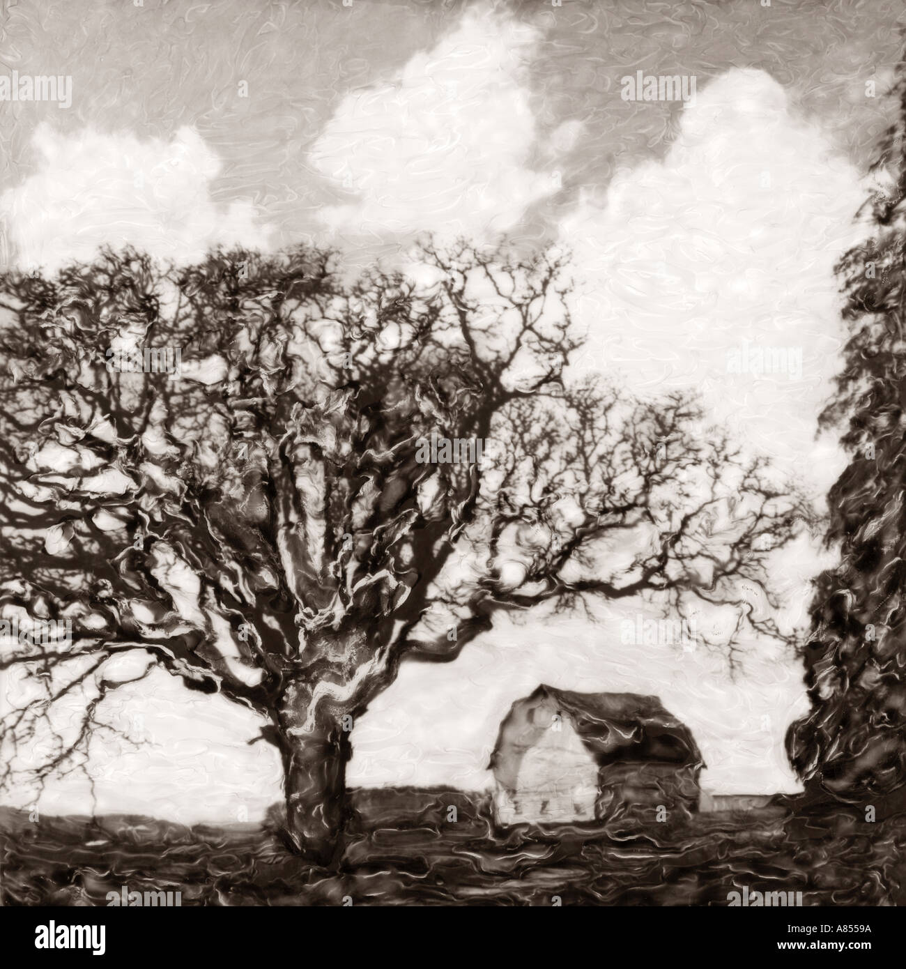 Oak Tree y granero tono sepia Foto de stock