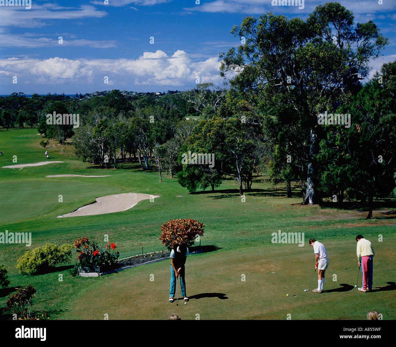 Grupo de hombres jugando al golf en Australia. Foto de stock