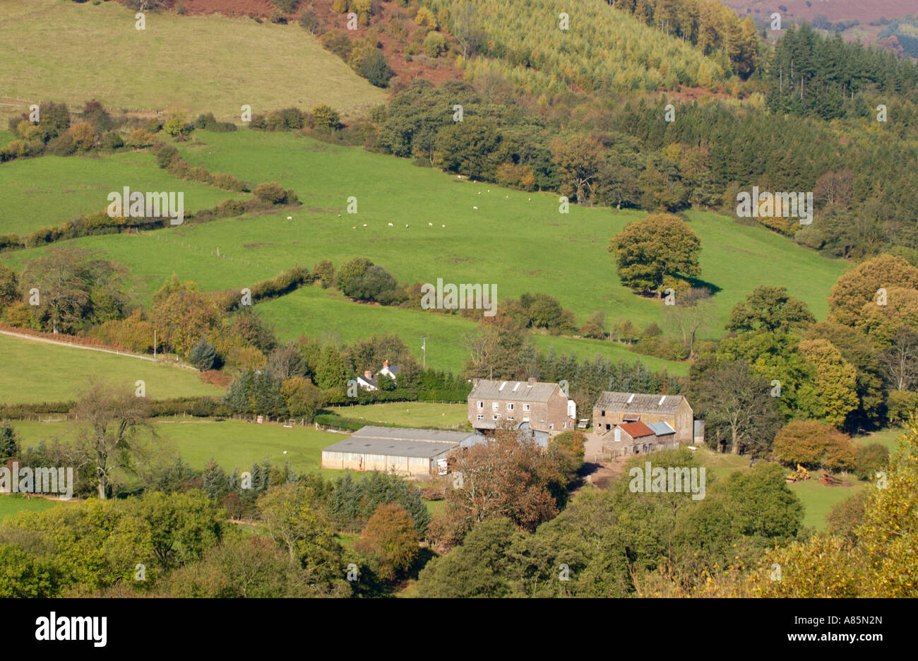 Granja de montaña remotos en las colinas cerca de la ciudad de Powys Crickhowell Gales UK Foto de stock
